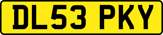 DL53PKY