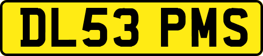DL53PMS