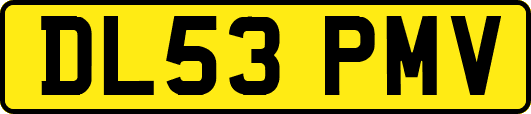 DL53PMV