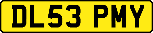 DL53PMY
