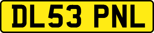DL53PNL