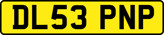 DL53PNP