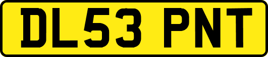 DL53PNT