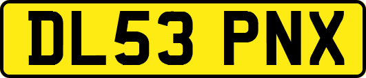 DL53PNX