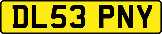 DL53PNY
