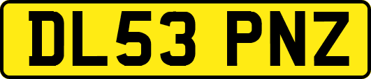 DL53PNZ