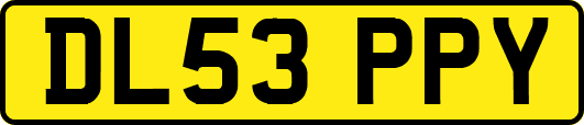 DL53PPY