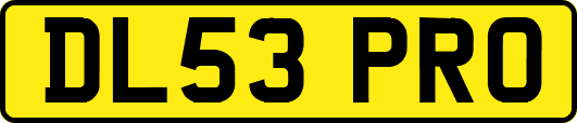 DL53PRO