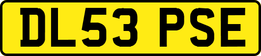 DL53PSE