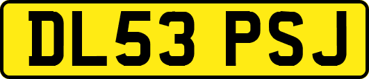 DL53PSJ
