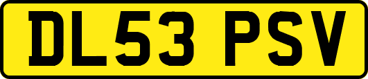 DL53PSV