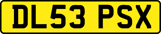 DL53PSX