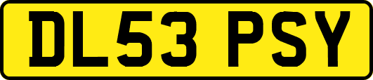 DL53PSY
