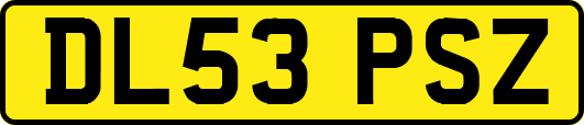 DL53PSZ