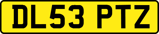 DL53PTZ