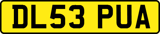DL53PUA