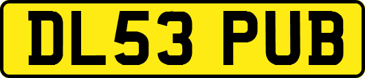DL53PUB