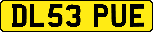 DL53PUE