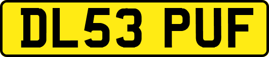 DL53PUF