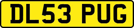 DL53PUG