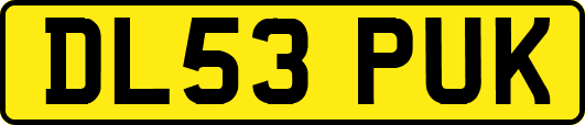 DL53PUK