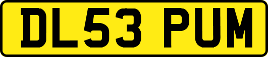DL53PUM