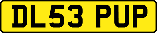 DL53PUP