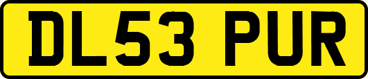 DL53PUR