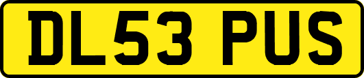 DL53PUS