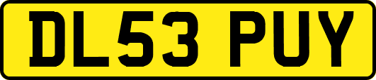 DL53PUY