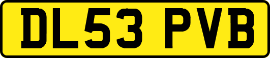 DL53PVB