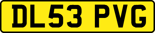 DL53PVG