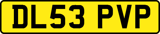 DL53PVP