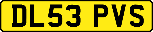 DL53PVS