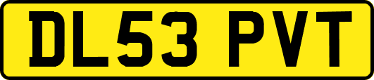 DL53PVT
