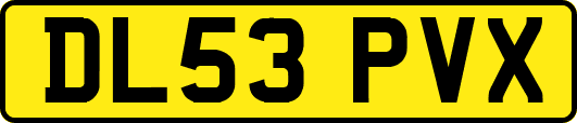 DL53PVX