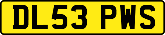 DL53PWS