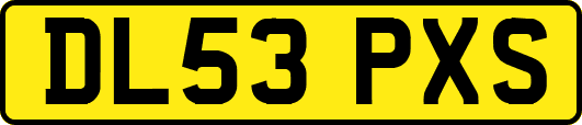 DL53PXS