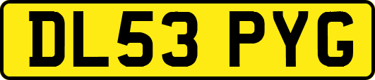 DL53PYG