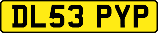 DL53PYP