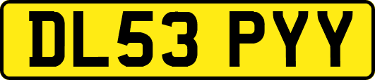 DL53PYY
