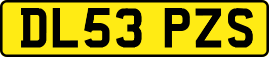 DL53PZS