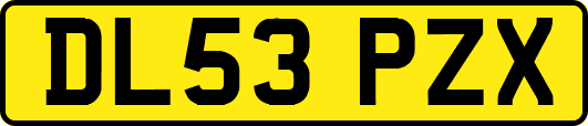DL53PZX