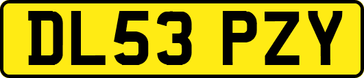 DL53PZY