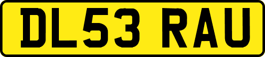 DL53RAU