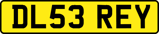 DL53REY