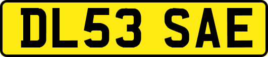DL53SAE