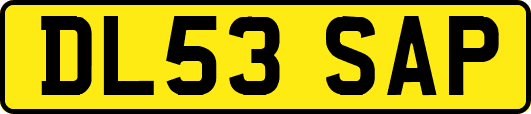 DL53SAP