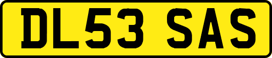 DL53SAS