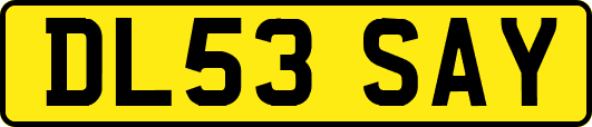 DL53SAY
